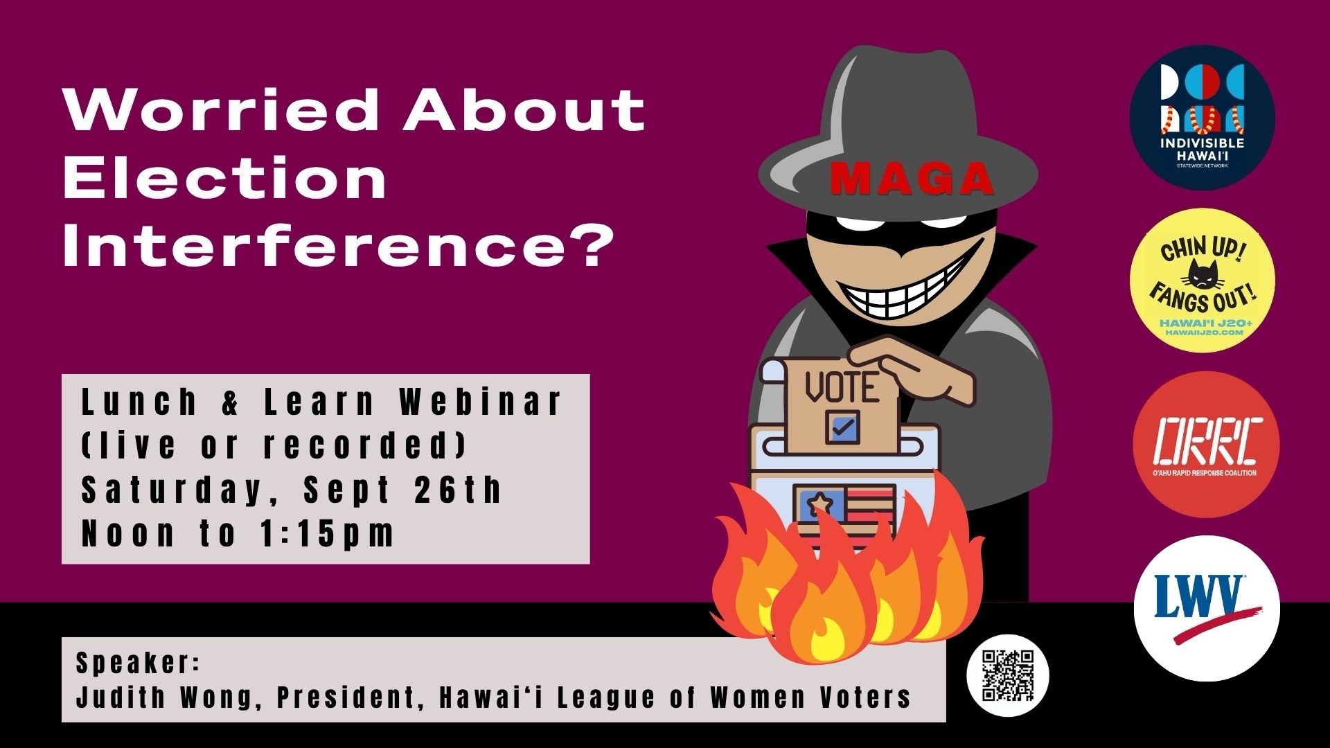 Worried about Election Interference?