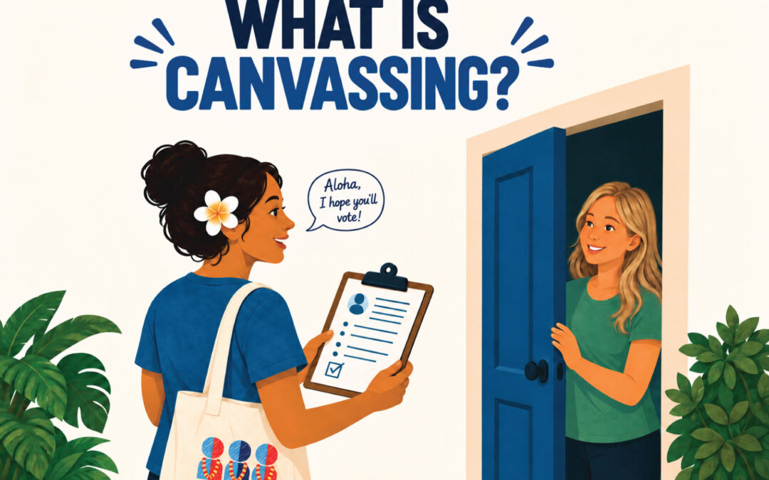 What is canvassing?